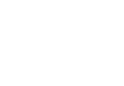 Bridges