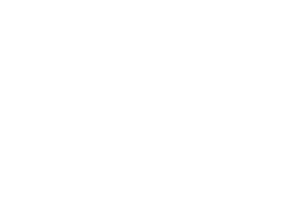 Panplinas